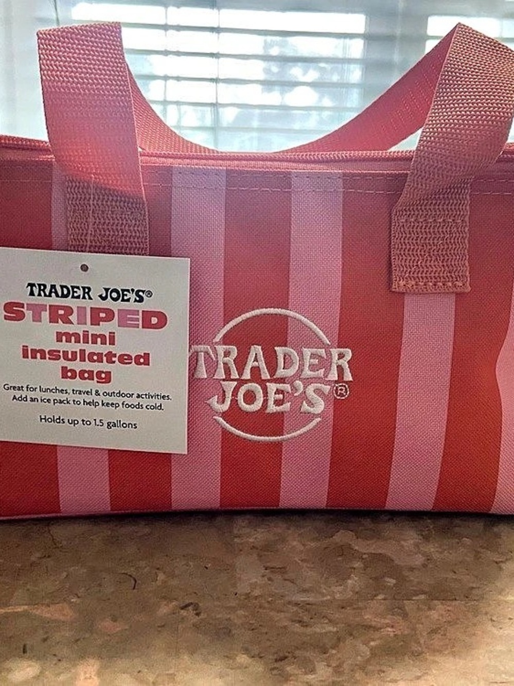 Trader Joe's Striped Mini Insulated Bag in Red & Pink